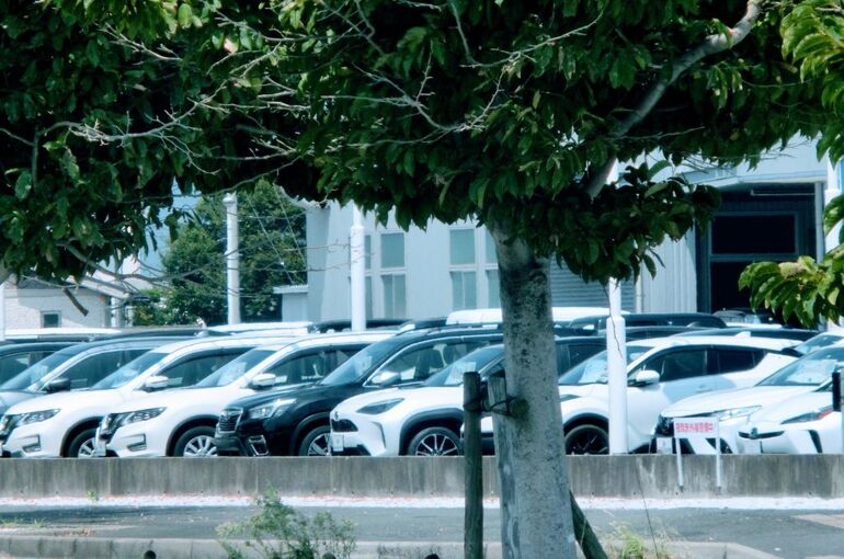 八幡市での中古車販売ガイド